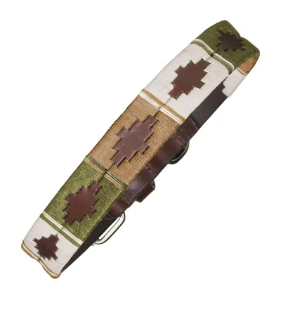 Pampeano Leather Explorar Dog Collar