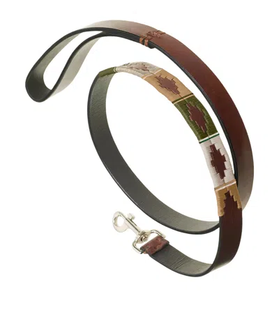Pampeano Leather Explorar Dog Lead