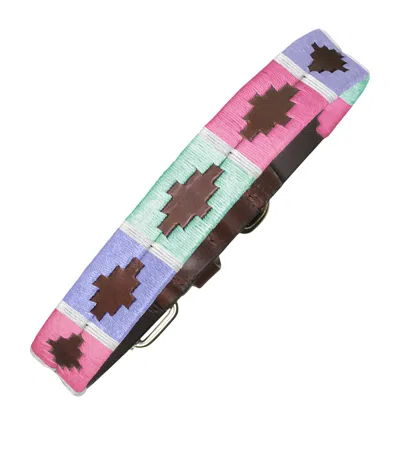 Pampeano Leather Verano Dog Collar