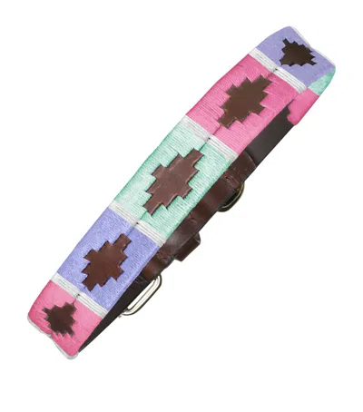 Pampeano Leather Verano Dog Collar