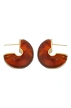 Panacea Brown Acrylic Hoop Earrings In Red