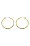 Panacea Cz Pavé Hoop Earrings