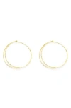 Panacea Double Hoop Earrings In Gold