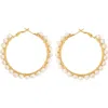 Panacea Freshwater Pearl Embellished Hoop Earrings In Gold