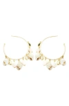 Panacea Shell Hoop Earrings In Ivory