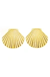Panacea Shell Stud Earrings In Gold