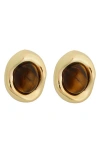Panacea Tiger's Eye Stud Earrings In Gold