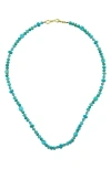 Panacea Turquise Bead Necklace In Turquoise