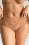 Panache Allure Lace Cheeky Briefs In Brown