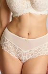 Panache Allure Lace Cheeky Briefs In Neutral