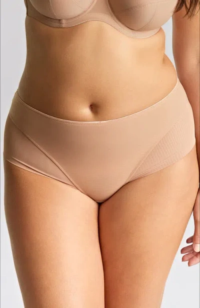 Panache Tango Essence Mesh Cheeky Briefs In Nude