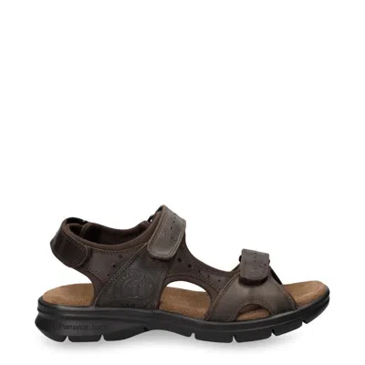 Panama Jack Men's Salton Basics C1 Leather Sandals In Brown