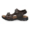 Panama Jack Salton C1 - Men's Open Toe Leather Sandals In Brown