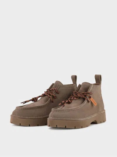 Pànchic Women's Desert Suede Shoe Boot In Walnut In Brown