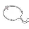 Pandora Family Is Love Bracelet Gift Set In Metallic