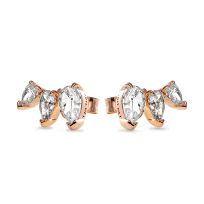 Pandora Jewelry Mod. 282836c01 In Brown | ModeSens