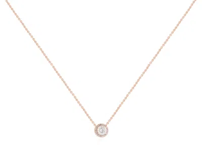Pandora Silver  Rose Round Cz 17.8 Inch Necklace - In Gold