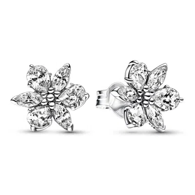 Pandora Sparkling Herbarium Cluster Stud Earrings In Metallic