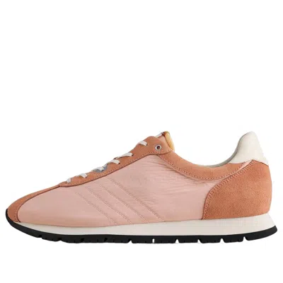 Pane Nostalgia 60 'coral Reef' In Pink