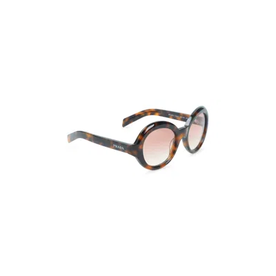 Pangaia Brown Logo Acetate Sunglasses