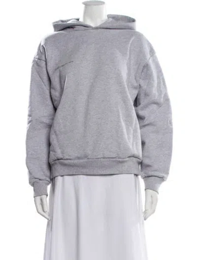 Pre-owned Pangaia Crew Neck Long Sleeve Hoodie In Grey
