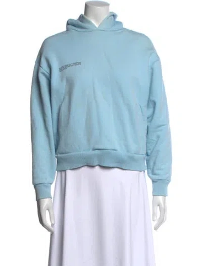 Pre-owned Pangaia Crew Neck Sweater In Blue