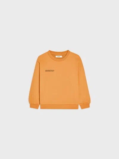 Pangaia Kids' Midweight Sweatshirt—burnt Horizon In Orange