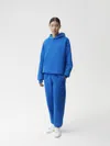 Pangaia Mens 365 Heavyweight Track Pants In Cobalt Blue
