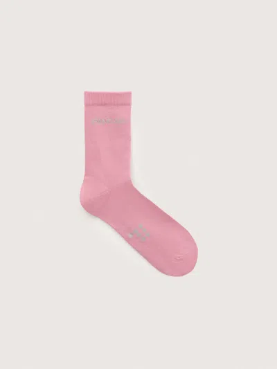 Pangaia Socks—blush Drift In Pink