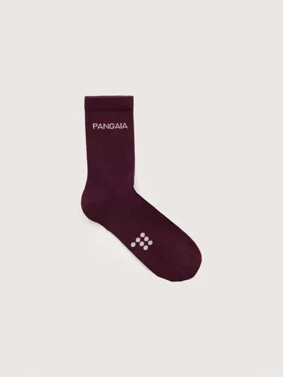 Pangaia Socks—nocturne Plum In Purple