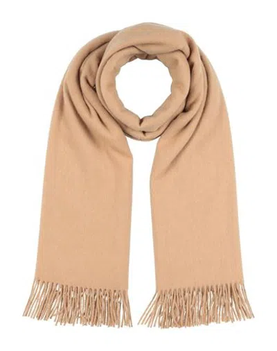 Pangaia Woman Scarf Camel Size - Cashmere In Brown