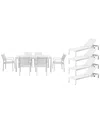 Pangea Home David 11pc Patio Set