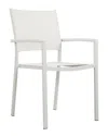 Pangea Set Of 6 David Dining Chars