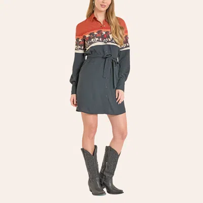 Panhandle Slim Women's Red & Gray Horse Print Long Sleeve Shirt Dress In Blue