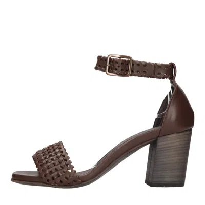 Pantanetti Sandals Brown In Marrone Marroni