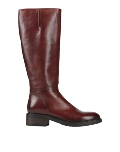 Pantanetti Woman Boot Brown Size 11 Leather In Burgundy