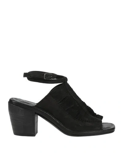 Pantanetti Woman Sandals Black Size 7 Leather