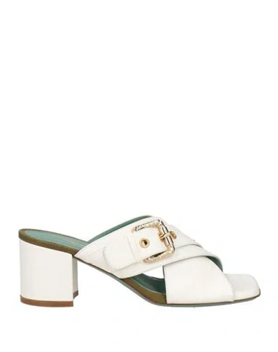 Paola D'arcano Woman Sandals White Size 7 Leather