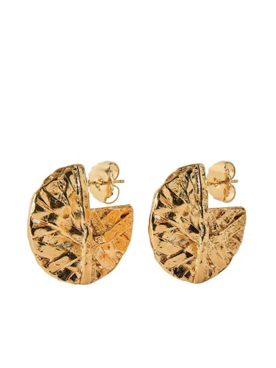 Paola Sighinolfi Medium Icon Hoops In Gold