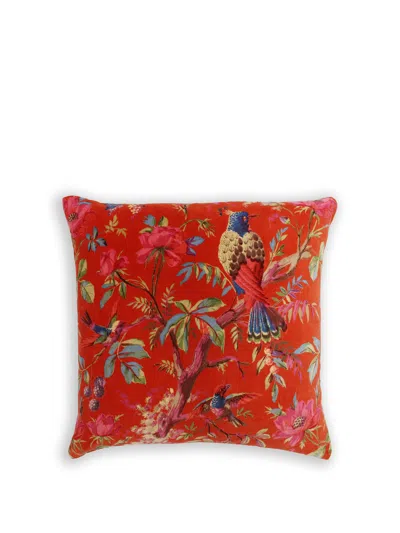 Paoletti Paradise 50x50 Cushion In Orange
