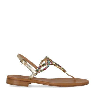 Paolo Ferrara Platin Thong Sandal In Animal Print