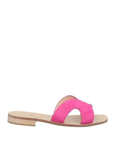 Paolo Ferrara Woman Sandals Fuchsia Size 6 Leather In Pink