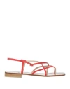 Paolo Ferrara Woman Thong Sandal Red Size 8 Leather In Red