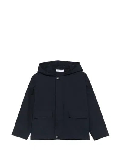 Paolo Pecora Kids' Hooded Flap-pocket Jacket In Blue