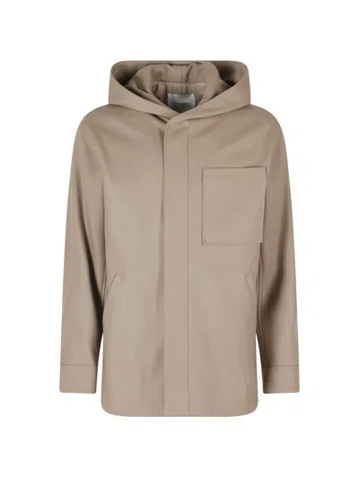 Paolo Pecora Hooded Jacket In Brown