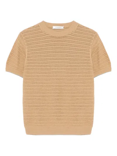 Paolo Pecora Kids' Knitted T-shirt In 褐色