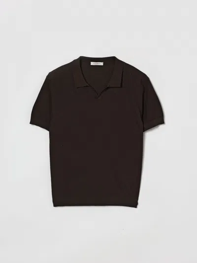 Paolo Pecora Polo Shirt Kids  In Brown