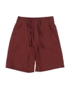 Paolo Pecora Toddler Boy Shorts & Bermuda Shorts Chocolate Brown Size 3 Cotton, Elastane