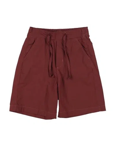 Paolo Pecora Babies'  Toddler Boy Shorts & Bermuda Shorts Chocolate Brown Size 3 Cotton, Elastane