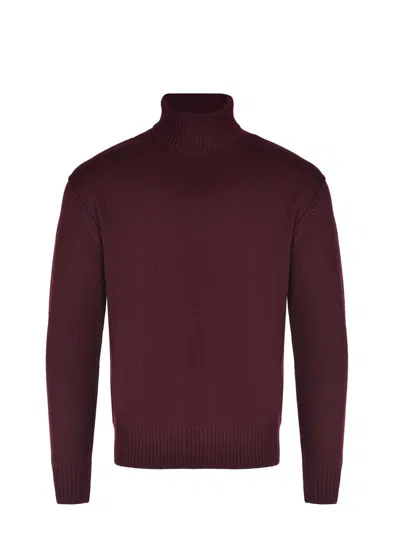 Paolo Pecora Turtleneck In Purple